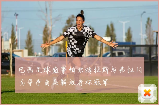 巴西足球盛事帕尔梅拉斯与弗拉门戈争夺南美解放者杯冠军