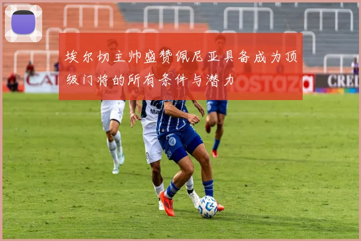 埃尔切主帅盛赞佩尼亚具备成为顶级门将的所有条件与潜力