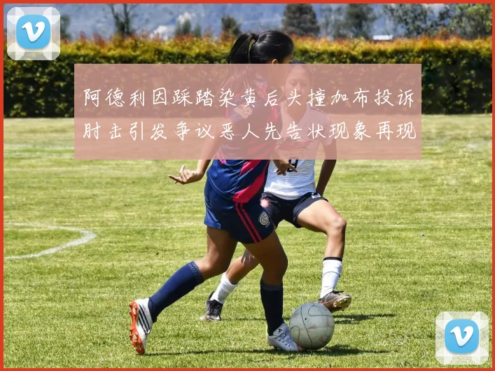 阿德利因踩踏染黄后头撞加布投诉肘击引发争议恶人先告状现象再现